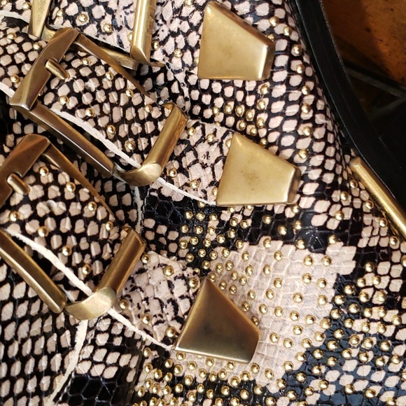 Chloe Snakeskin Ankle Boots with Gold Buckles - Picture 16 of 16